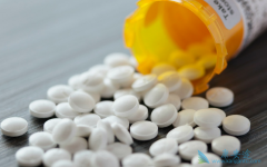 �������ð�����̹Ƭ(Volibris)�����ͷʹѣĿ�Ȳ�����Ӧ