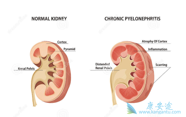 ͻ�����Ʒ��϶�