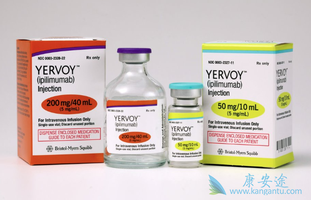 ��ƥľ����