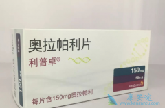 PARP���Ƽ���������춨��HER2�����������ٰ������Ƶ�λ