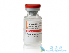 T-DM1���������鵥���Ļ�����ż��һ������ҩ��