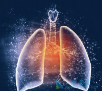 ����Сϸ���ΰ����߾���һ�����Ƹ�����Ӧ����ô�죿