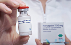 ���ٰ���ҩ�����鵥��/����͡����ҩT-DM1����ĸ�Ч���ã�