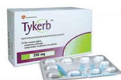 �ڷ��ѳ�������ҩ��������(lapatinib)��Եİе���ʲô��