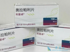 �ѳ���Ŀǰ����ʹ���ļ���PARP���Ƽ����ƣ�