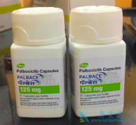 �����ٰ�CDK4/6��ø���Ƽ�������������Щ�������ƣ�