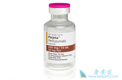 HER2�������ٰ�����������������ĸ�Ч���ȽϺã�