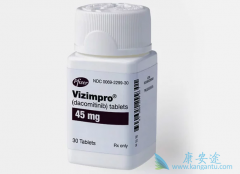 ������ᣨVizimpro�������Ʒ�Сϸ���ΰ�����һ��EGFR���Ƽ�