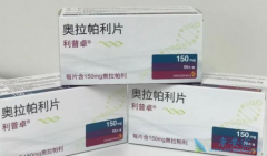 �׸��ѳ�������ҩ��PARP���Ƽ���������������׿����CFDA��׼