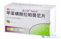 ��������(Lapatinib)����θ�ҩ������Ҫʹ�ü����Ƴ̣�