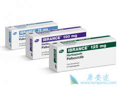 ��׼����������(Palbociclib)�������ƿ��ܲ�����Щ������Ӧ