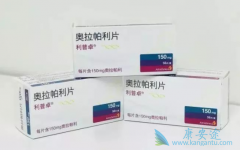 ��������(Lynparza)���ӻ������ѳ����Ľ�չ