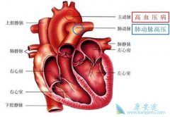 �̵���Ч���Ʒζ�����ѹ�İ���ҩ������Щ