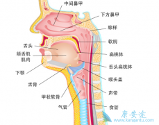 ���ڱ����尩�ĵ���֢״������Щ��