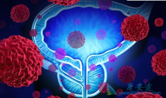 ����ǰ���ٰ�֢���κ�����ô���ƿ��Դﵽ�õ���Ч��