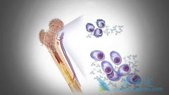 ���ƶ෢�Թ�������ҩ������Щ��Ч���ֱ���Σ�