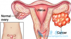 Ӱ���ѳ������ڻ��ߴ���ڵ���������Щ��