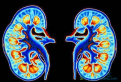 �������ڵĻ��߻������Щ֢״���֣�