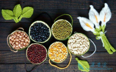 ��ͬ���Ͱ�֢���ߵ���ʳ�����кβ�ͬ��