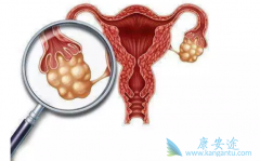 ���׺�������������ʲô�����׻᲻�ᰩ����