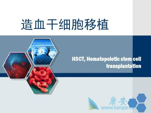 白血病骨髓移植 白血病骨髓移植