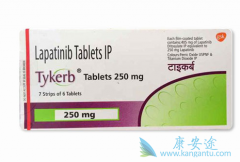 Ϊ�ε�ҩʹ��������������ת�������ٰ���Ч�������ԣ�