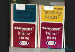 ��Ī��(temozolomide)����Ч��׻�ת��ø����ˮƽ���