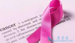 �����յ����ٰ���������������Щ��