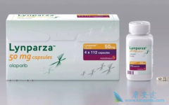 �ϼ���������ҩ�����İ�������(Olaparib)�����б�����