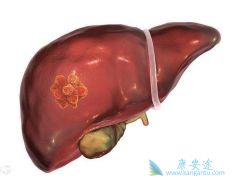 ԭ���Ըΰ�����Ч���Ʒ�������Щ��