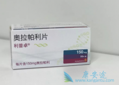 PARP���Ƽ�Ŀǰ�����������������ٰ�������