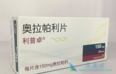 ���������ٰ��������ƿ�����PARP���Ƽ�����������