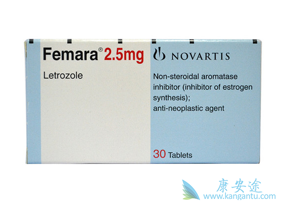 ������Ƭ