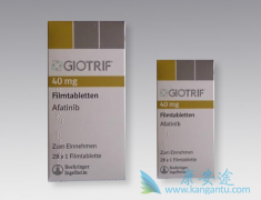 ��������(AFATINIB)���ٴ�Ч���������еĻ��Ʒ���