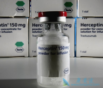 HER2�������ٰ�������ѡ����͡��