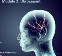 Ubrogepant����Ϊȫ���׿�CGRPС����ƫͷʹҩ��