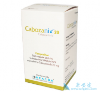 ���ڰ�֢��ת�ƻ��߿�������һ���������ҩ��һ������