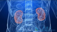 ʲô��������������������������ʲô֢״���֣�