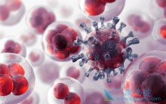 �������������������ڻ��ߵ�һ�����ƻ�����Щ��չ��