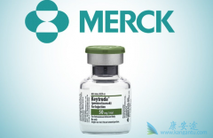 Keytruda���ڹ������Ʒ�Сϸ���ΰ�����