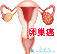 �¸������������ѳ������ߵ���Ч��ô����