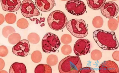 ��Ѫ���������������Щ������ֱ�ӹ�ϵ��