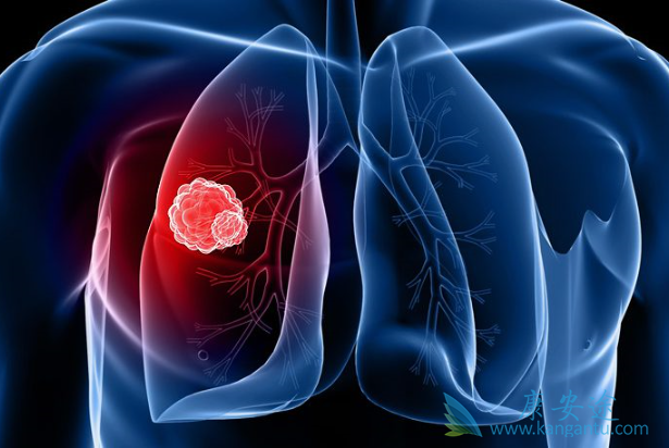 �ΰ�����