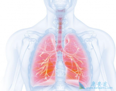 ��Сϸ���ΰ�������ҩ����ô�ָ���ҩ��������ԣ�