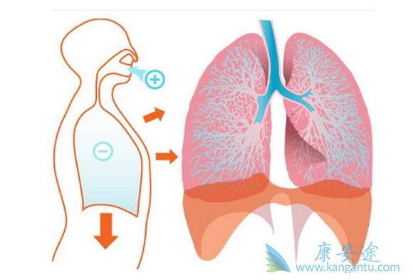 �����Է���