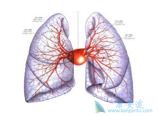 �����Է���