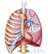 Ϊʲô�ζ�����ѹ֢״��ת��Ҫ������ҩ��