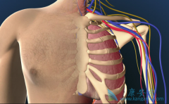 �ζ�����ѹ����ҩ��Opsumit���ٴ�Ч����ô����