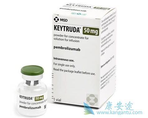 肿瘤免疫治疗 肿瘤免疫治疗