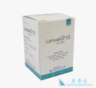 �ַ�����/�ط���������޸ΰ������ر���Ч